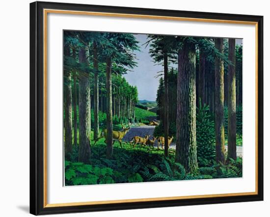 Forest Friends-Stan Galli-Framed Giclee Print