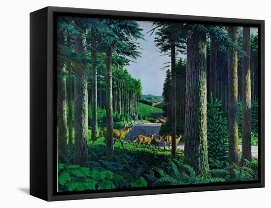 Forest Friends-Stan Galli-Framed Premier Image Canvas