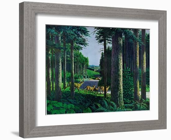 Forest Friends-Stan Galli-Framed Giclee Print