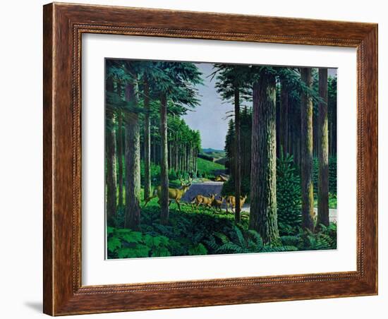 Forest Friends-Stan Galli-Framed Giclee Print