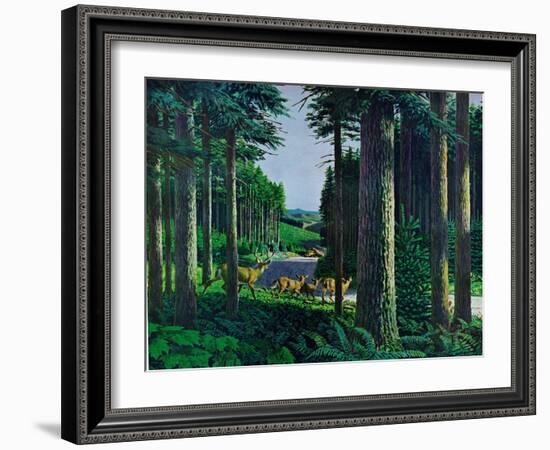 Forest Friends-Stan Galli-Framed Giclee Print