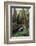 Forest Full of Redwood Trees-DLILLC-Framed Photographic Print