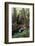 Forest Full of Redwood Trees-DLILLC-Framed Photographic Print