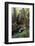 Forest Full of Redwood Trees-DLILLC-Framed Photographic Print