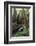 Forest Full of Redwood Trees-DLILLC-Framed Photographic Print