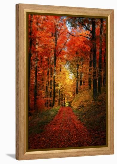 Forest Garden-Philippe Sainte-Laudy-Framed Premier Image Canvas