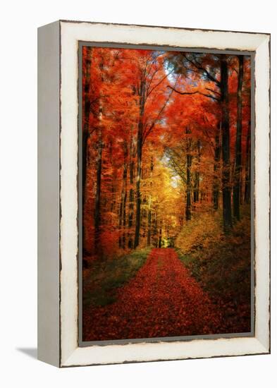 Forest Garden-Philippe Sainte-Laudy-Framed Premier Image Canvas