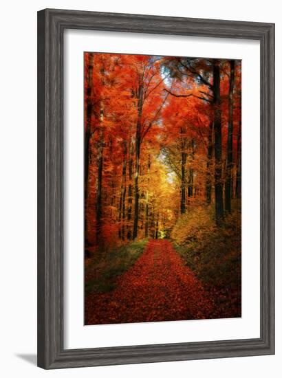 Forest Garden-Philippe Sainte-Laudy-Framed Photographic Print