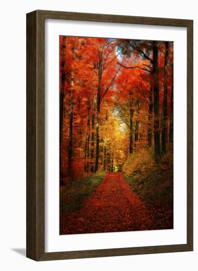 Forest Garden-Philippe Sainte-Laudy-Framed Photographic Print