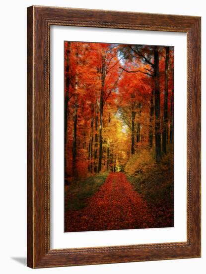 Forest Garden-Philippe Sainte-Laudy-Framed Photographic Print