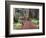 Forest, Glacier National Park, Montana-null-Framed Premium Photographic Print