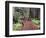 Forest, Glacier National Park, Montana-null-Framed Premium Photographic Print