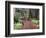 Forest, Glacier National Park, Montana-null-Framed Premium Photographic Print