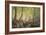 Forest Glade, Springtime-Johannes Boesen-Framed Giclee Print