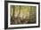 Forest Glade, Springtime-Johannes Boesen-Framed Giclee Print