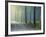 Forest Glade-Andreas Stridsberg-Framed Giclee Print