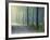 Forest Glade-Andreas Stridsberg-Framed Giclee Print