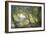 Forest Glade-Carl Frederic Aagaard-Framed Giclee Print