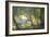 Forest Glade-Carl Frederic Aagaard-Framed Giclee Print