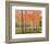 Forest Glow-Jean Cauthen-Framed Giclee Print