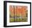 Forest Glow-Jean Cauthen-Framed Giclee Print