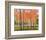 Forest Glow-Jean Cauthen-Framed Art Print