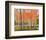 Forest Glow-Jean Cauthen-Framed Art Print