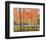 Forest Glow-Jean Cauthen-Framed Art Print