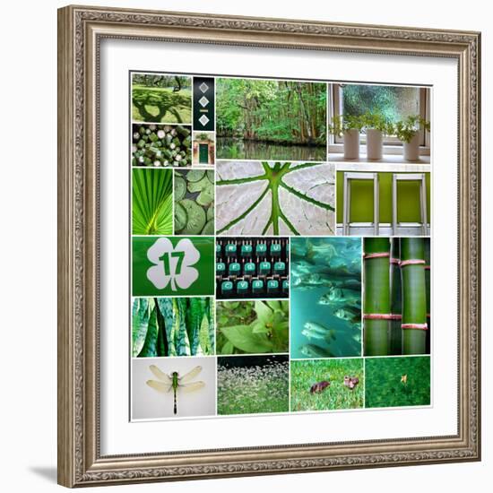 Forest Green Collage-Gail Peck-Framed Photo