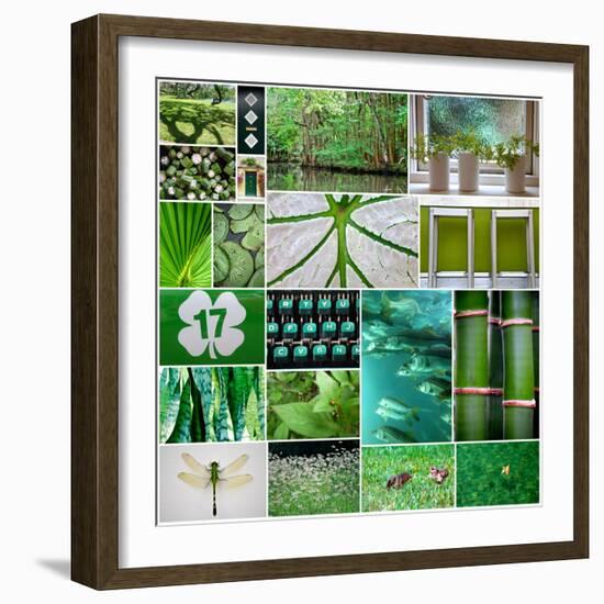 Forest Green Collage-Gail Peck-Framed Photo