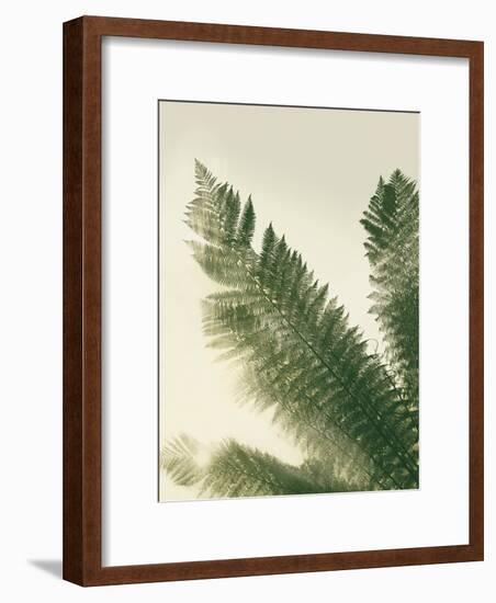 Forest Haven II-Ella Lancaster-Framed Giclee Print