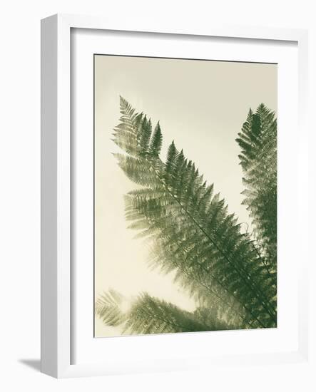 Forest Haven II-Ella Lancaster-Framed Giclee Print