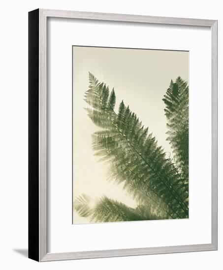 Forest Haven II-Ella Lancaster-Framed Giclee Print