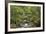 Forest Haven-Staffan Widstrand-Framed Giclee Print