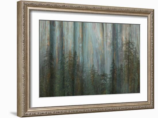 Forest I-Kathy Mahan-Framed Art Print