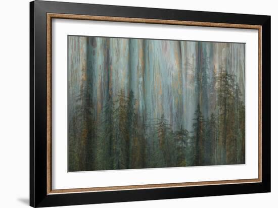 Forest I-Kathy Mahan-Framed Art Print