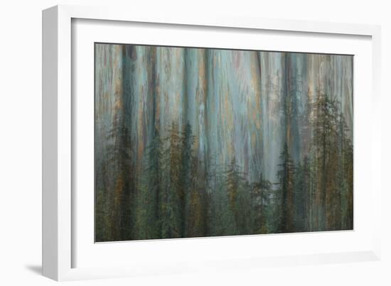 Forest I-Kathy Mahan-Framed Art Print