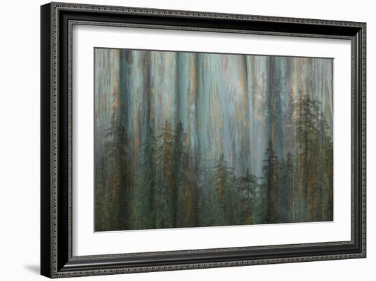 Forest I-Kathy Mahan-Framed Art Print