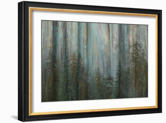 Forest I-Kathy Mahan-Framed Art Print