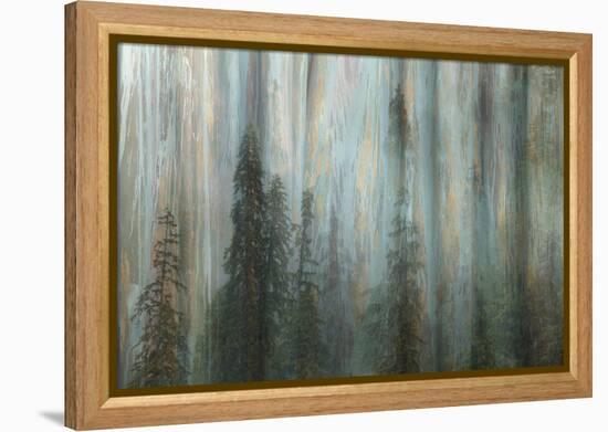 Forest II-Kathy Mahan-Framed Premier Image Canvas