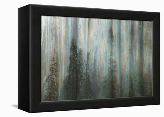 Forest II-Kathy Mahan-Framed Premier Image Canvas