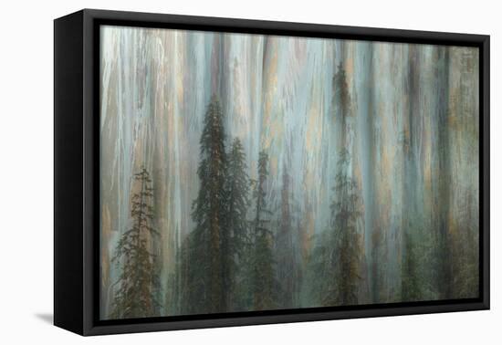 Forest II-Kathy Mahan-Framed Premier Image Canvas