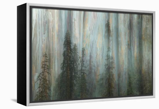 Forest II-Kathy Mahan-Framed Premier Image Canvas