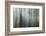 Forest II-Kathy Mahan-Framed Photographic Print