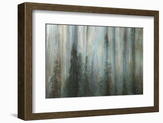 Forest II-Kathy Mahan-Framed Photographic Print