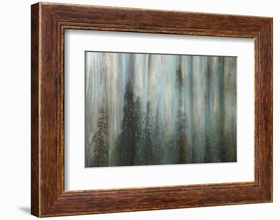 Forest II-Kathy Mahan-Framed Photographic Print