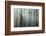 Forest II-Kathy Mahan-Framed Photographic Print