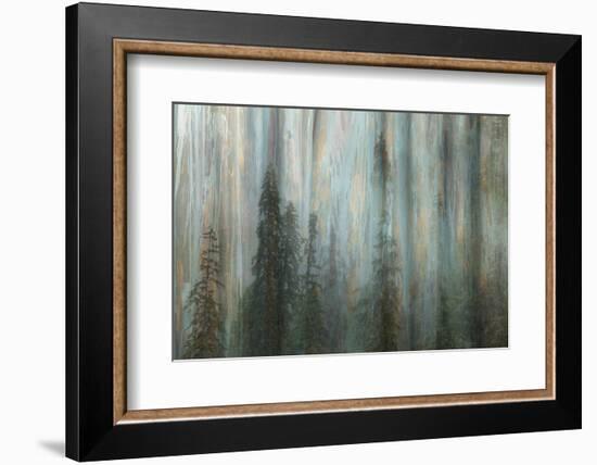 Forest II-Kathy Mahan-Framed Photographic Print