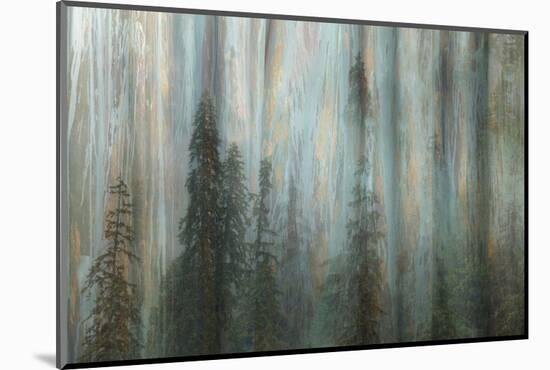 Forest II-Kathy Mahan-Mounted Photographic Print