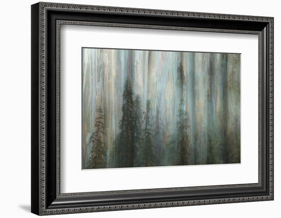 Forest II-Kathy Mahan-Framed Photographic Print